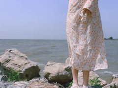 -合肥滨湖国家森林公园