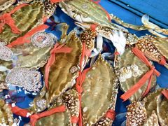-粤盛海鲜平价店(洛溪食街店)
