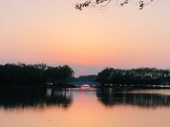 -大兴滨河森林公园