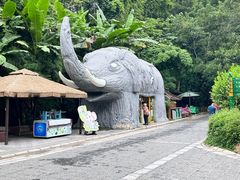 -野象谷景区