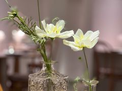 -麓椿花园西餐厅(海乐世界店)