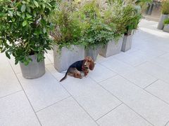 -Carmen卡门西班牙餐厅