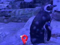 -上海海昌海洋公园