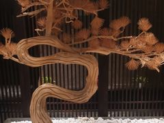 -江仙雅居(中航国际店)