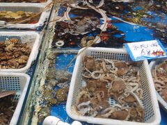 水产区-旺角小渔村·海肠捞饭开创者(环山路店)