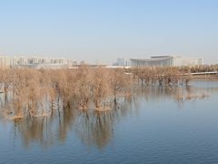 -灞河西岸滨河公园