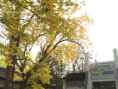 -苏州文庙(姑苏区)