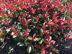 iphone_upload_pic-塔川景区