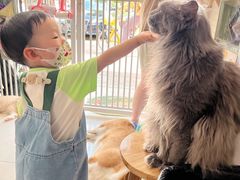 -平行世界·猫咖(首经贸店)