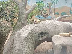 -上海野生动物园