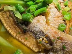 -淘蛙(广州星寰国际商业中心店)