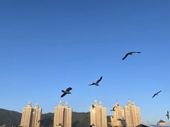-星海广场