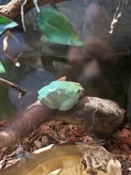 -Zoolung Zoolung动物主题公园(海信广场店)