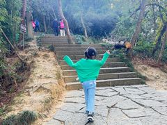 -千岛湖东南湖区