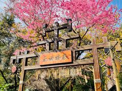 -云南民族村