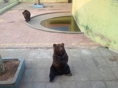 -西霞口神雕山野生动物世界