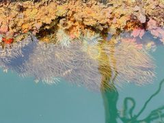 -蓝湾碧波·老字号·疍家非遗海上餐厅