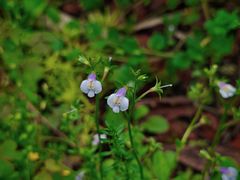 -苏州河梦清园环保主题公园