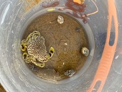-青岛银沙滩