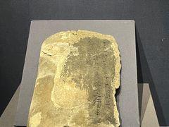 -温州博物馆