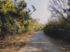 -南京市无想山景区