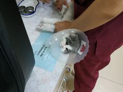 -美联众合动物医院·24h京西诊疗中心