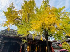 -成都市文殊院