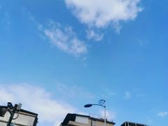 -金记猪肚鸡(琅西店)