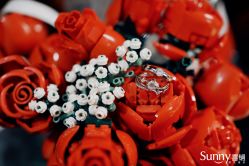 点击看大图 -Sunny喜铺婚礼定制·求婚策划