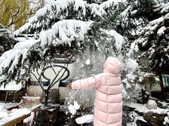 -济南国际园博园