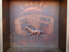 -霸王茶姬(五一路店)