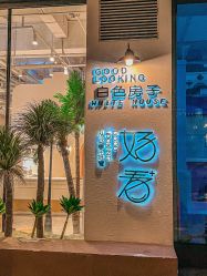 -好看加白色房子