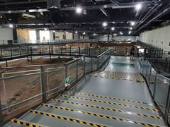 -南越王博物院(王宫展区)