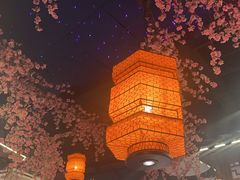 -荷塘秋月·本帮江浙菜(国权路店)