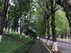 -龙头寺公园