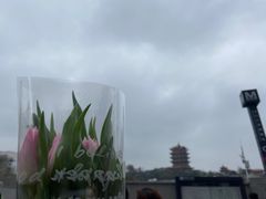 -循礼门鲜花花市(武汉循礼门店)