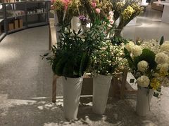 -OCE(熙地港购物中心店)