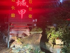 -青城甲(青城山店)