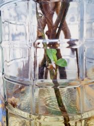 -无界瑜伽普拉提