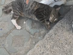 -国文影城(上海闸北店)