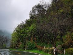 -秦岭风景区