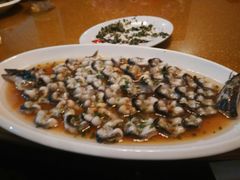 -呼吸森林·生态农庄农家乐私房菜