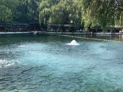 -百脉泉景区