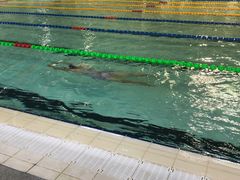 -奥林匹克体育中心游泳馆