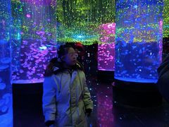 -哈尔滨波塞冬海底世界