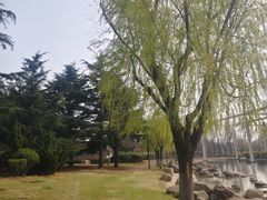 -丁家河公园
