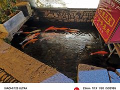 -新月集庭院咖啡馆(老邮局店)
