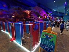 -青岛嘉年华主题乐园