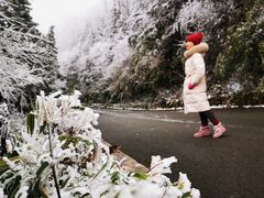 -武陵山森林公园