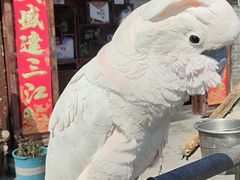 -四海楼(如皋定慧禅寺店)
